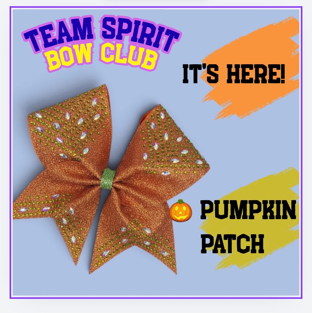 Team Spirit Bow Club